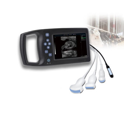qualidade  Veterinary Ultrasound Probe Medical Equipment Good Support Veterinary Ultrasound Scanner Laptop Ultrasound Sonoscape Livestock Price fábrica